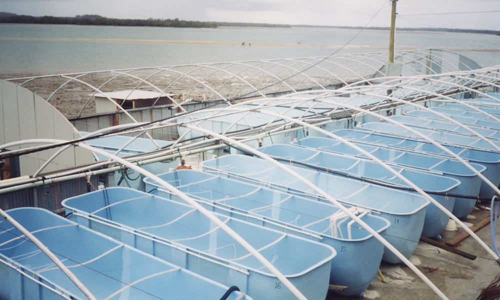 Parabolic-Aquaculture-Tanks-for-Hatchery