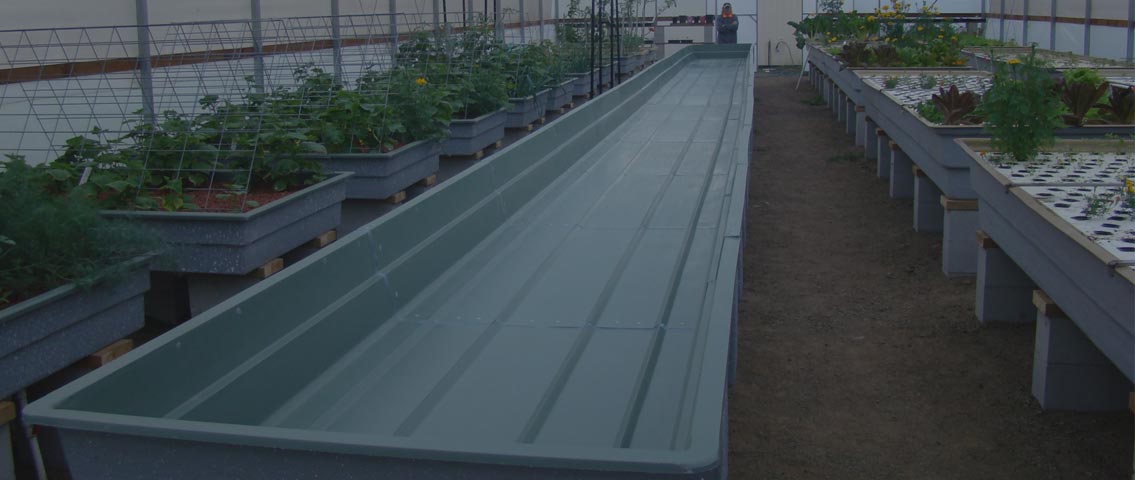 Aquaponics Grow Bed