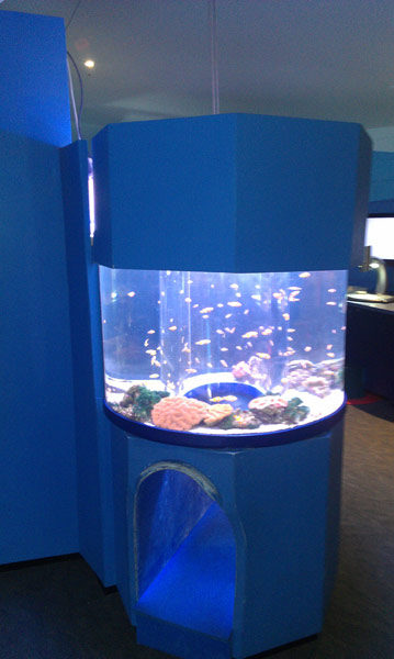 Custom Aquarium Display Tanks 2
