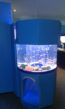 Custom Aquarium Display Tanks 2
