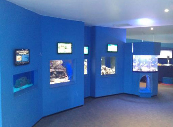 Custom Aquarium Display Tanks 3