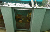 Custom Aquarium Display Tanks 8