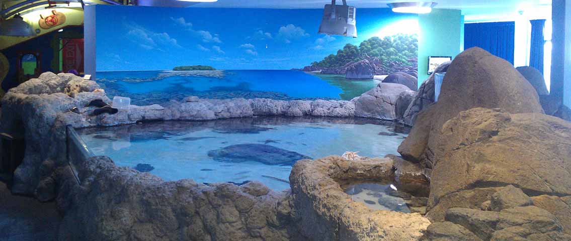 Custom Aquarium Display Tanks