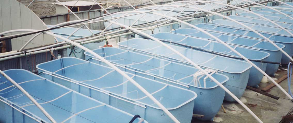 Parabolic Tanks for Aquaculture